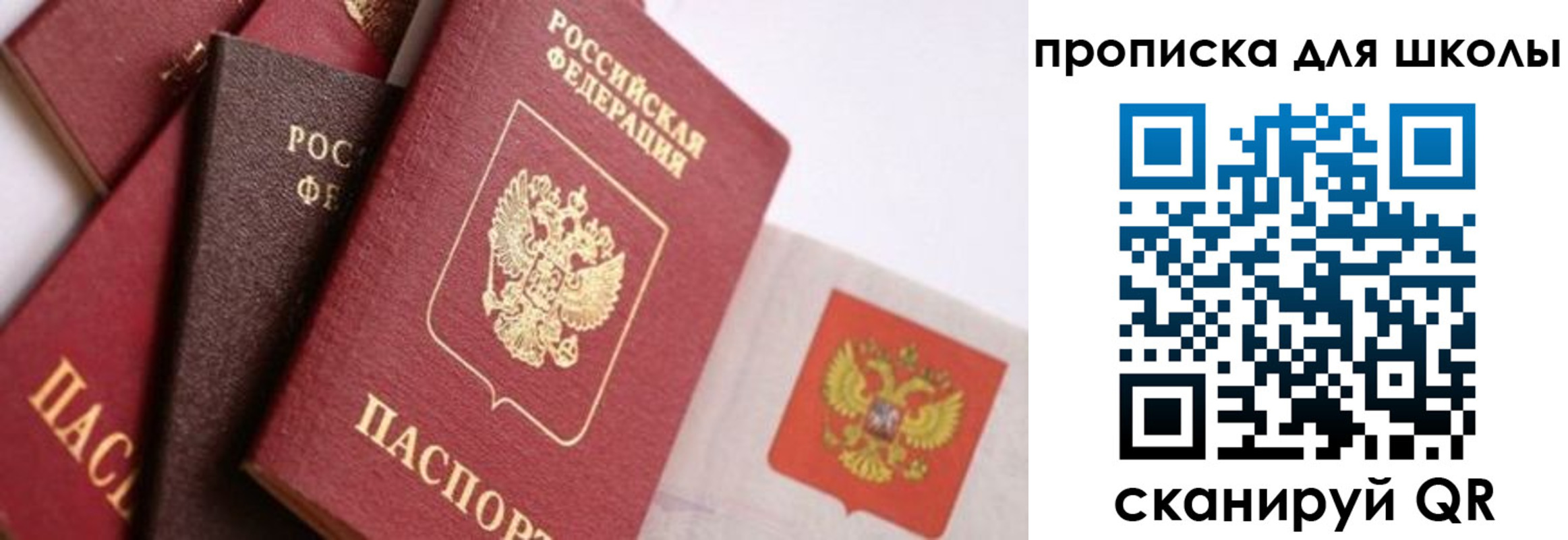 прописка поиск в Омской области